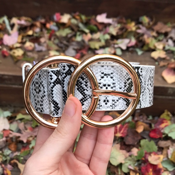 Urban Outfitters Accessories - NWOT Faux Snakeskin Waist Belt